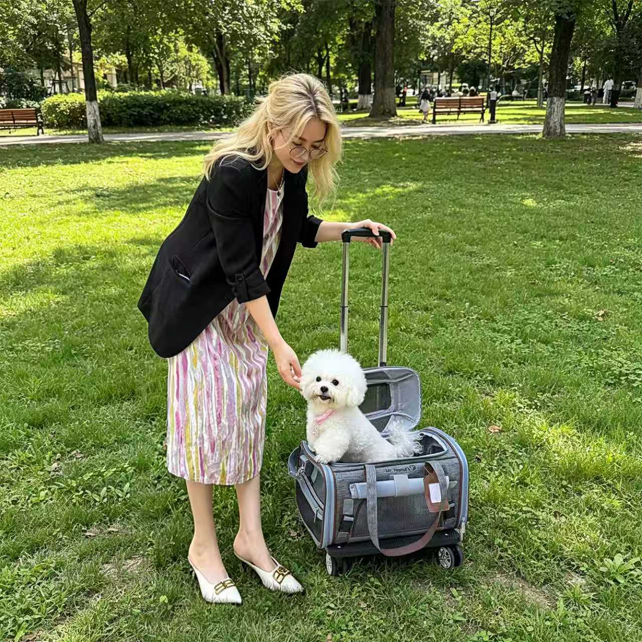 Mr. Peanut's Gold Series Mini Expandable Pet Carrier V3.0 - Landing August 15th