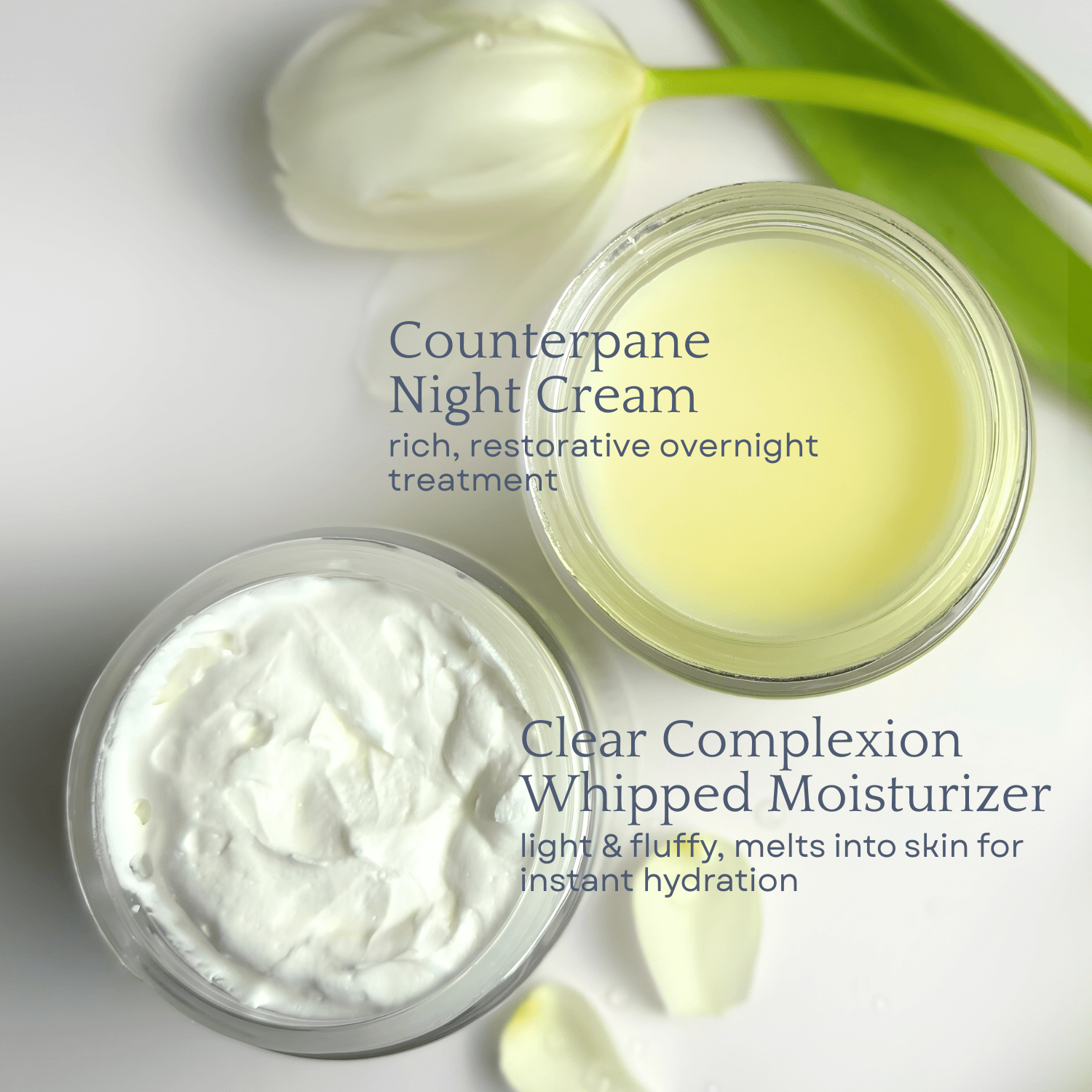 Day & Night Face Moisturizer Duo
