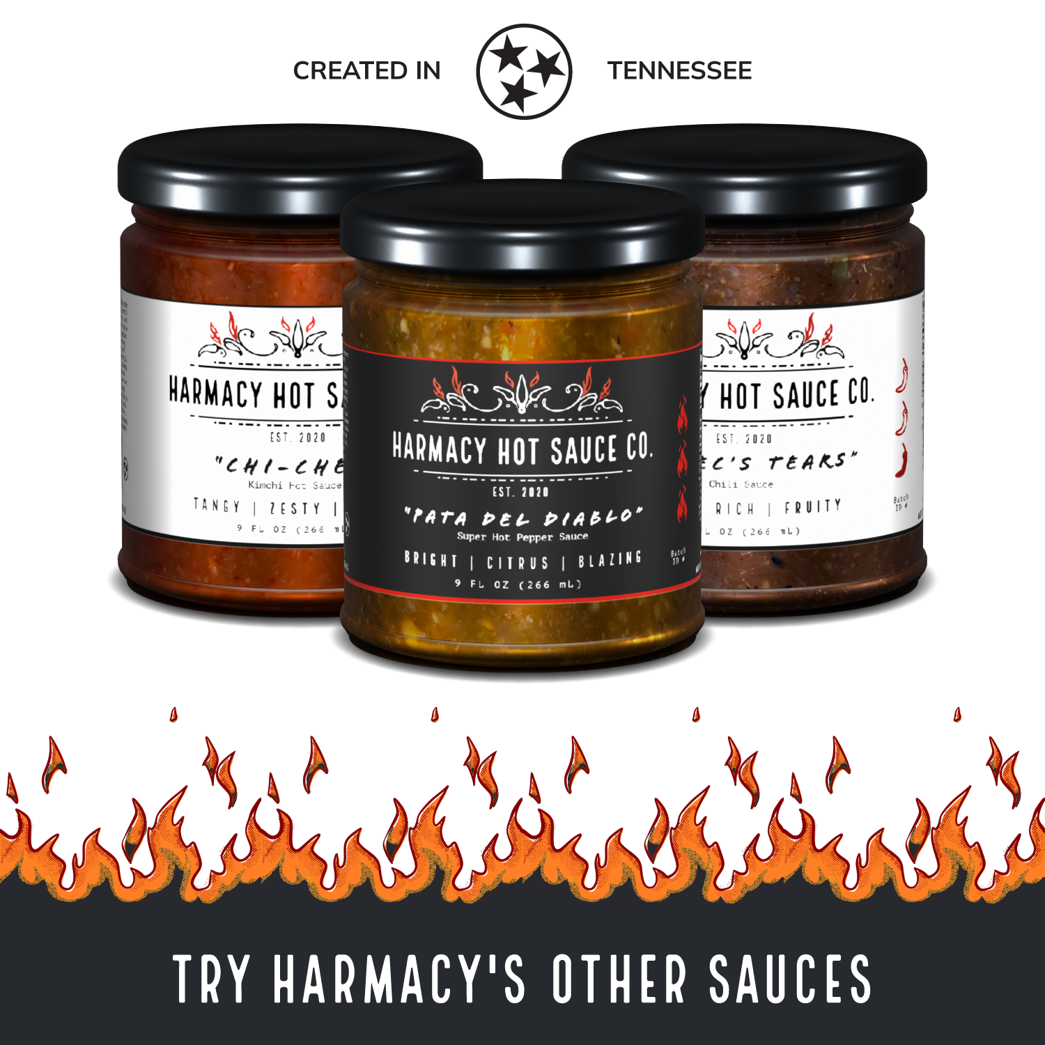 Best Sellers Variety Pack