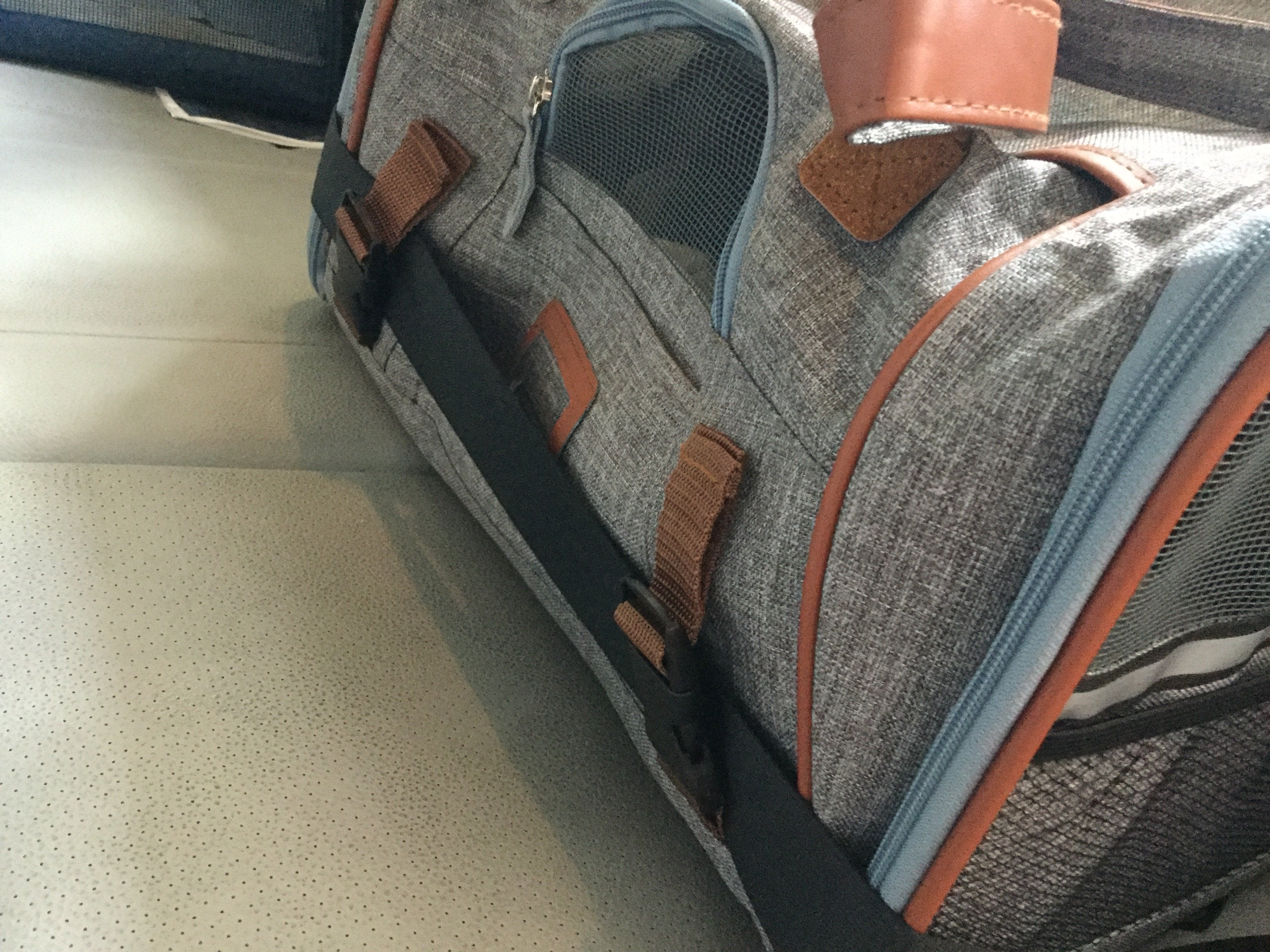 Mr. Peanut's Gold Series Big Apple Double Expandable Pet Carrier