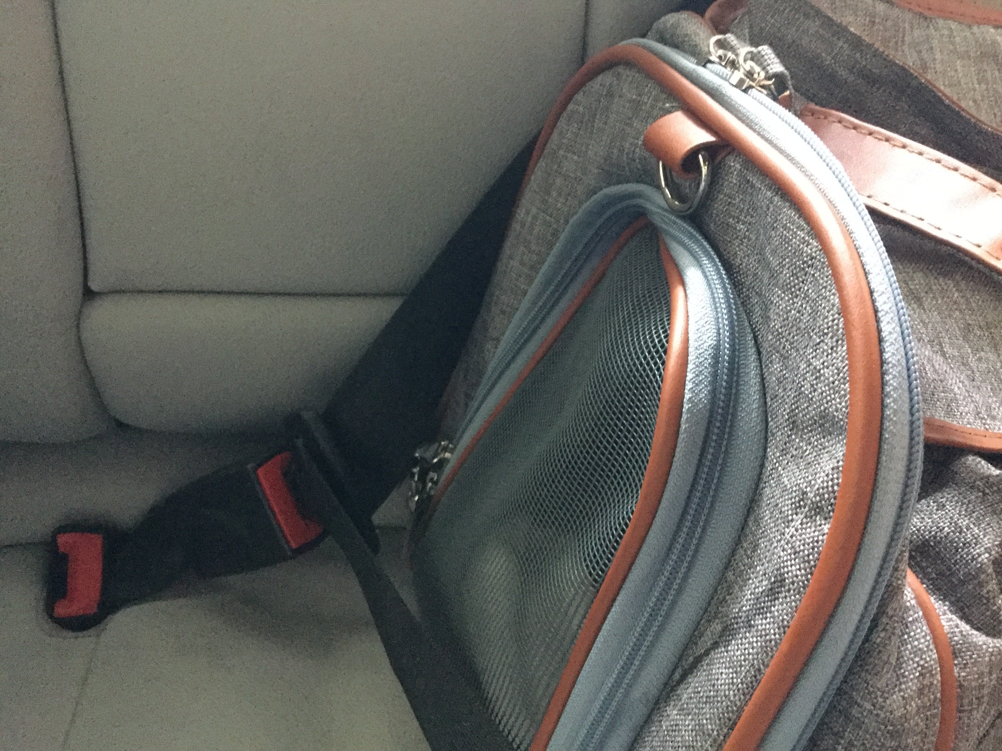 Mr. Peanut's Gold Series Big Apple Double Expandable Pet Carrier