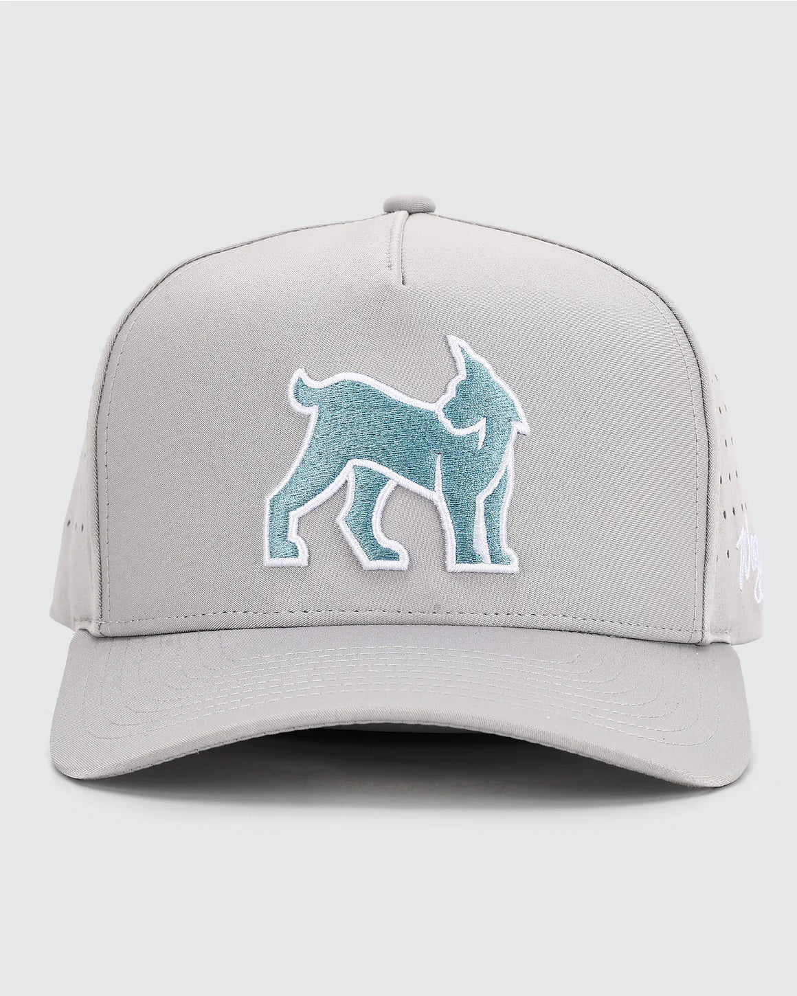 Waggle Original Snapback Hat - Links Lynx