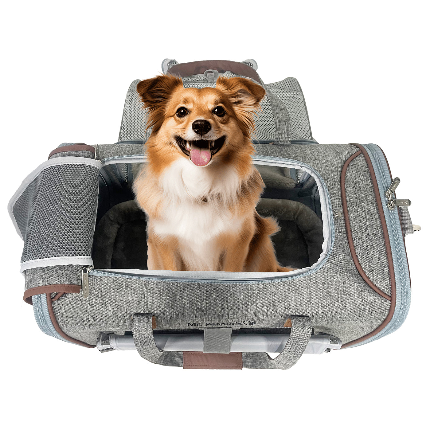 Mr. Peanut's Gold Series Expandable Pet Carrier V3.0 - Out of Stock Colors Landing Late August