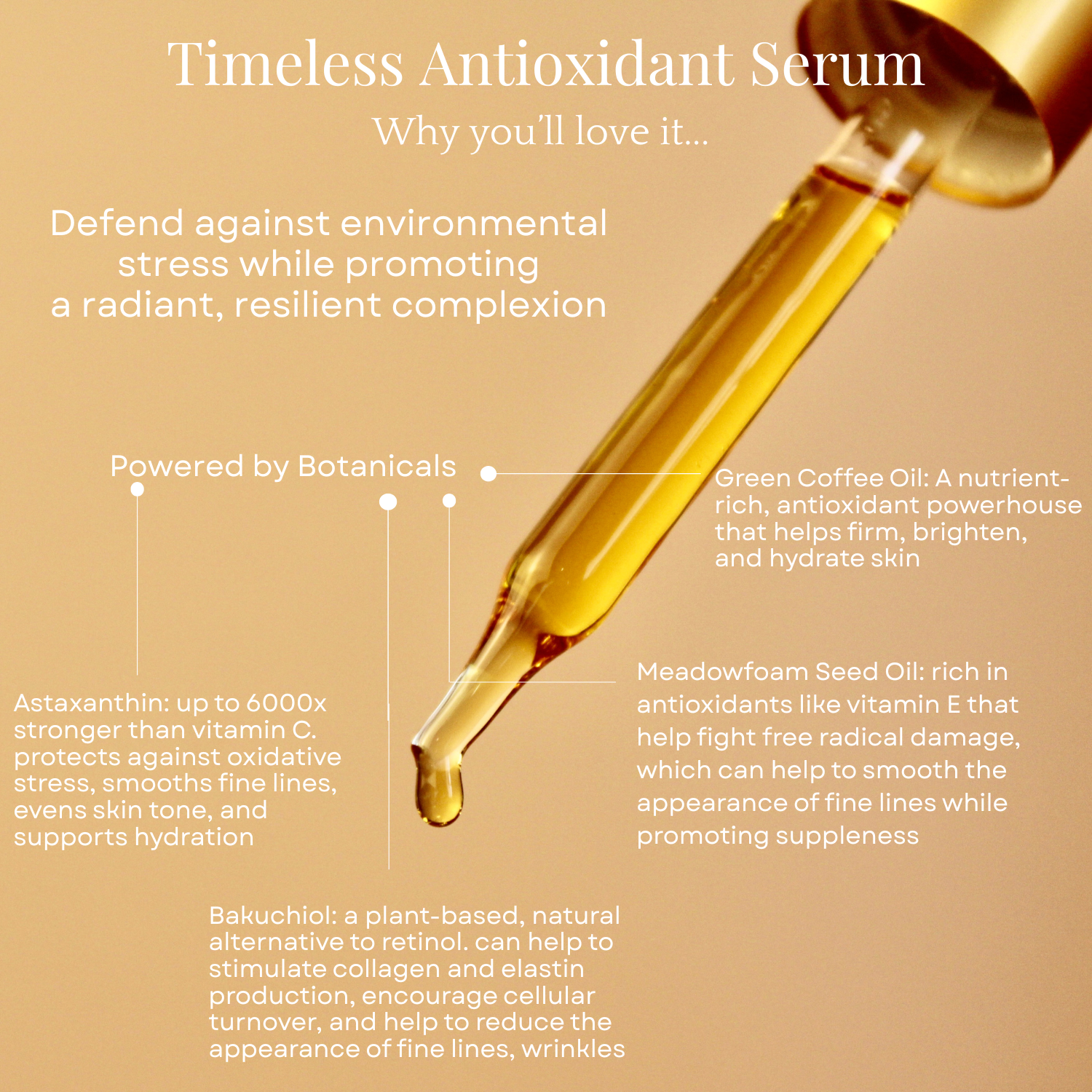 Timeless Antioxidant Facial Serum